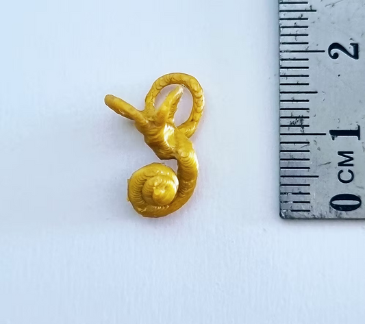 Inner Ear Model Actual Size (Left)
